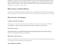 write SEO educational articles, blogs, and website content